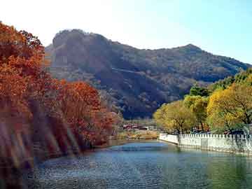 新澳天天开奖资料大全旅游团，小说神墓